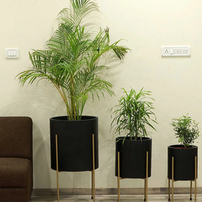 Cylindrical Shaped Large Set of 3 Black Fiber Glass Floor Planter,