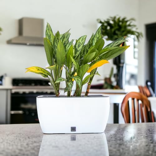 Craftter Planter for Indoor-Outdoor Home Garden Gardening/Rectangle Big Plant Pot with Polypropylene UV Material/Decorative Modern Gamla)