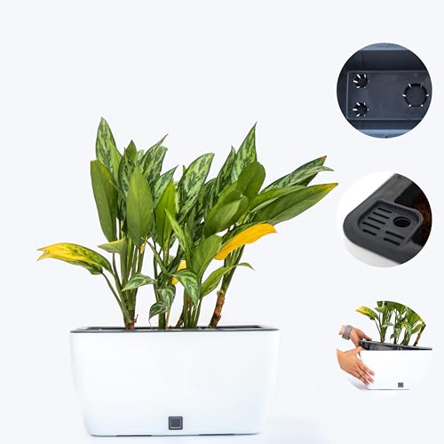 Craftter Planter for Indoor-Outdoor Home Garden Gardening/Rectangle Big Plant Pot with Polypropylene UV Material/Decorative Modern Gamla)