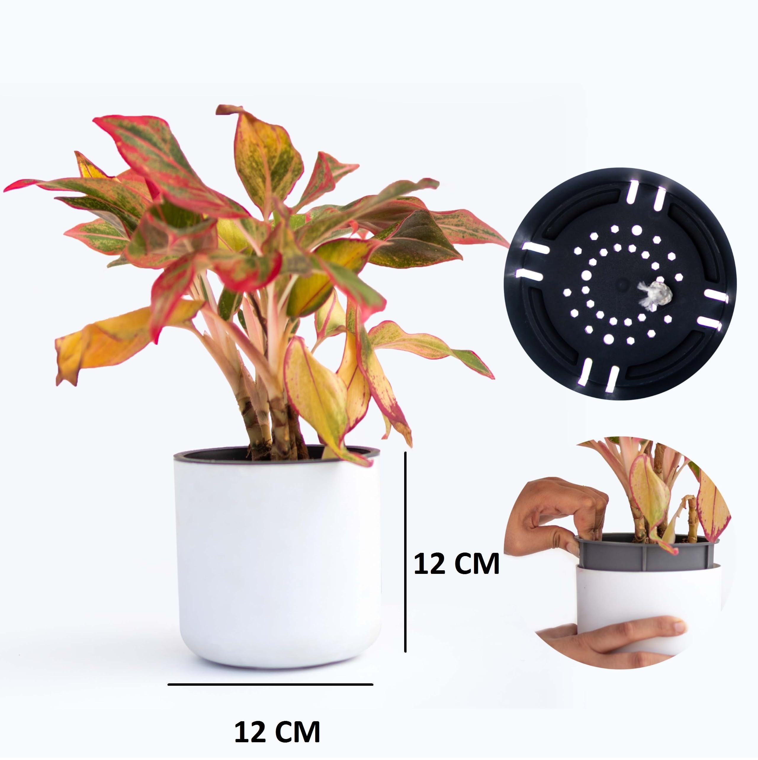 Craftter Planter for Indoor-Outdoor Home Garden/Round Plant Pot with Polypropylene UV Material/Decorative Modern Gamla (Set of 3)