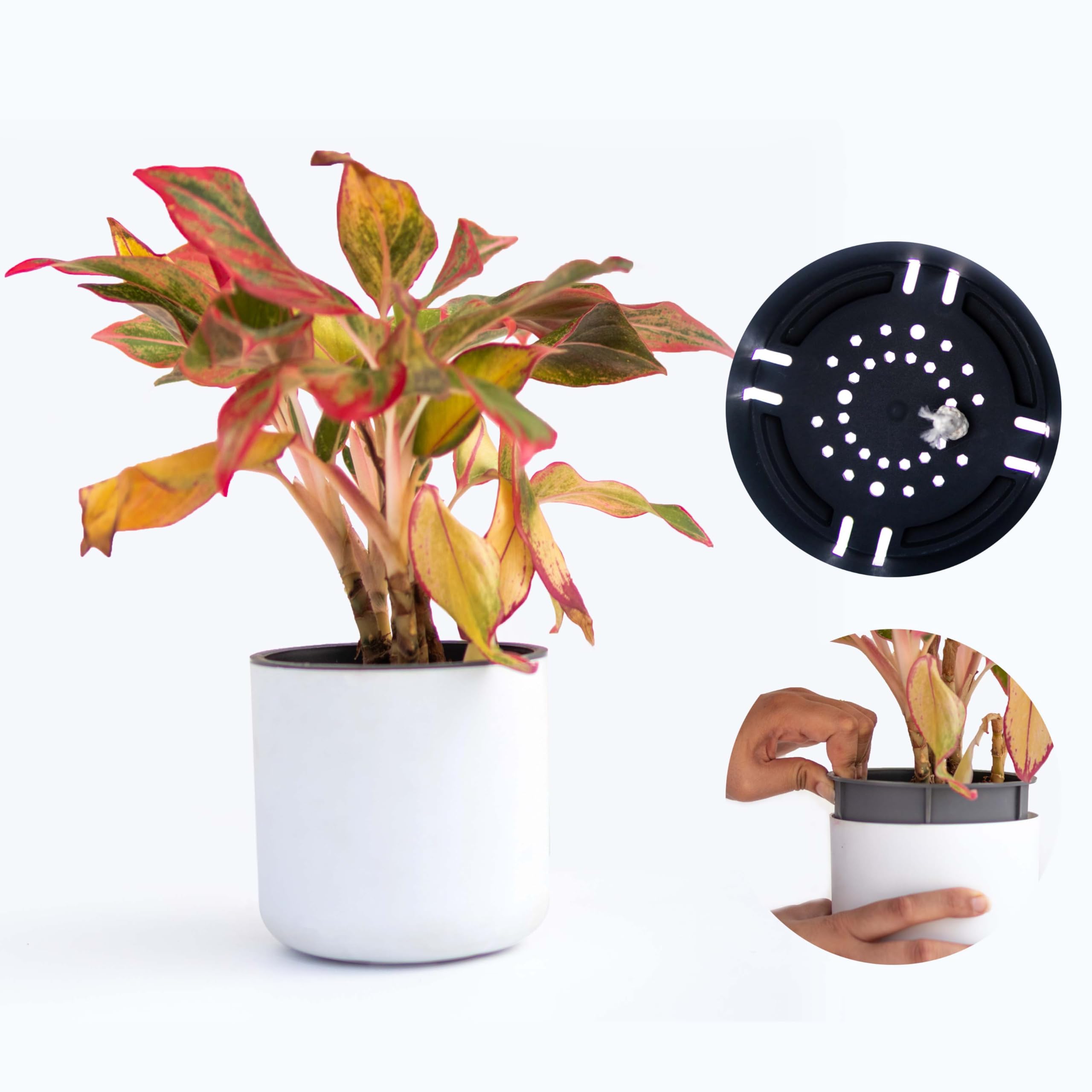 Craftter Planter for Indoor-Outdoor Home Garden/Round Plant Pot with Polypropylene UV Material/Decorative Modern Gamla (Set of 3)