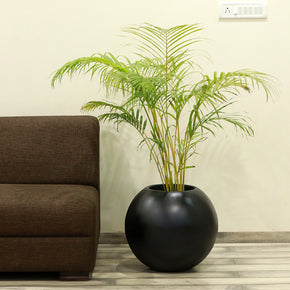Craftter Large Round Black Fiberglass Planters (Gamla) Decorative Pots Light Weight, 18 inch Diameter, Indoor-Outdoor