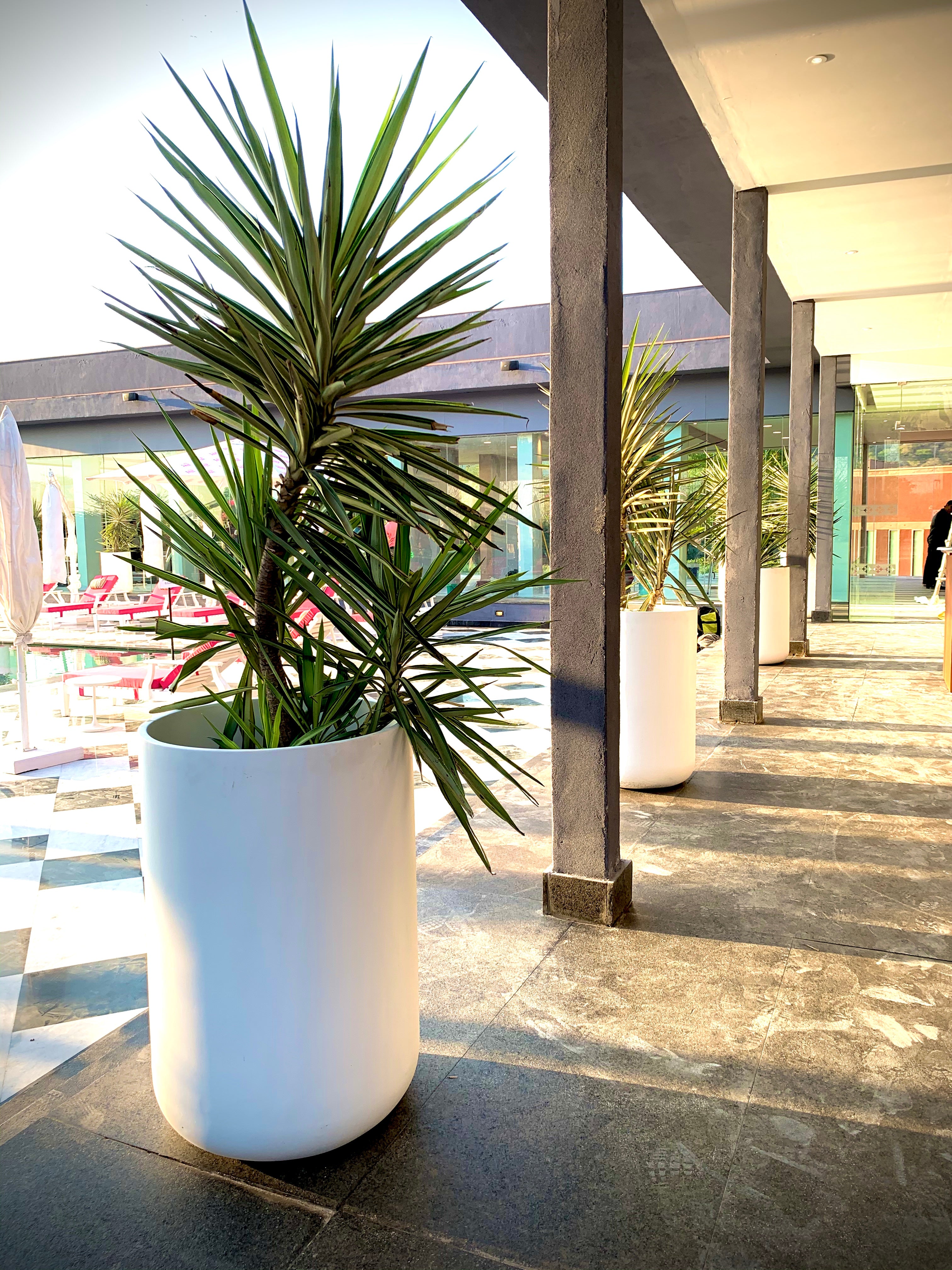36 inch diameter planter pots Craftter Huge Size Cylindrical Shape White Color Fiberglass Planters (