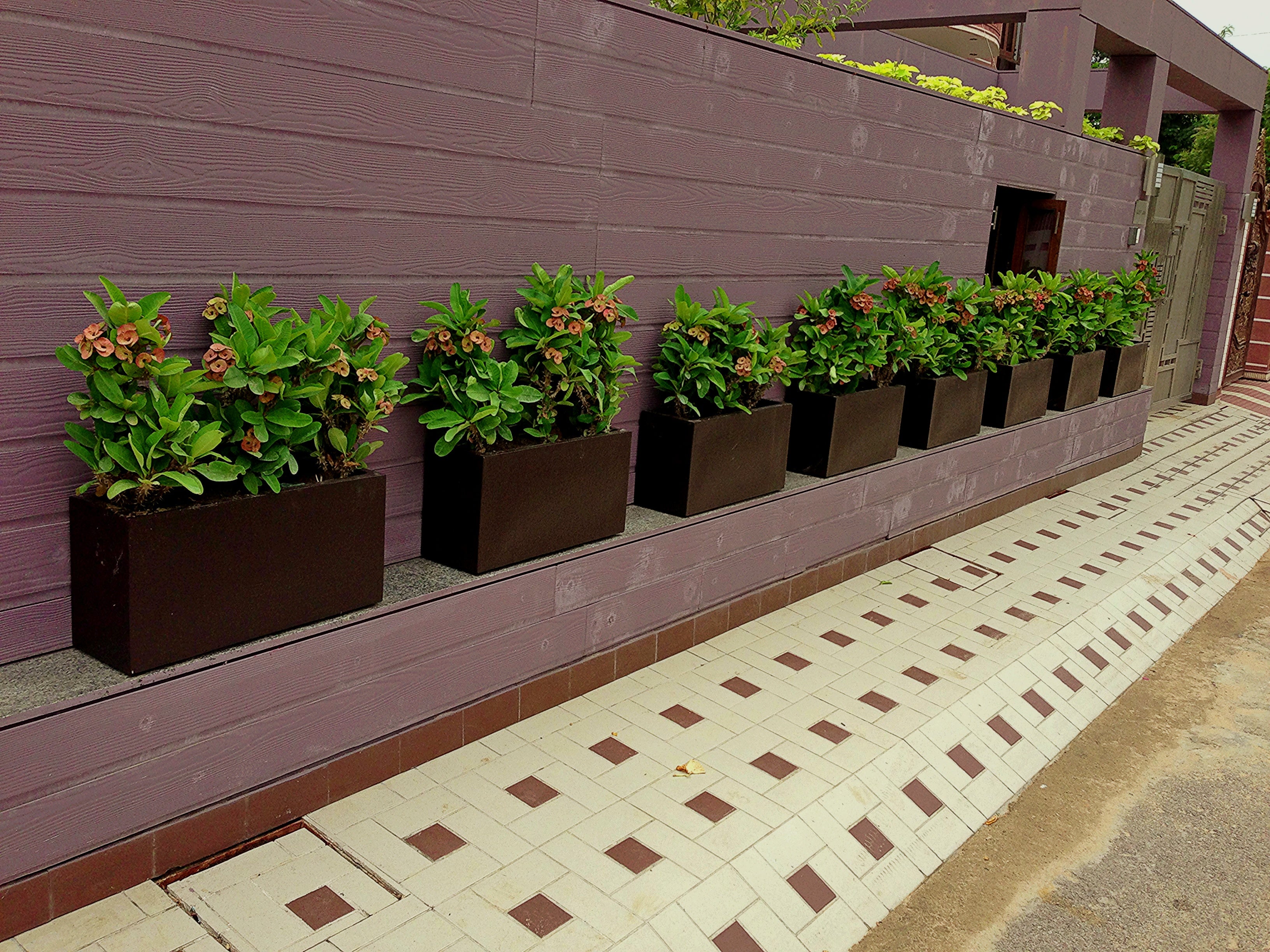 Gamla Color Craftter Large Rectangle Shape Black Color Fiberglass Planters (Gamla ...