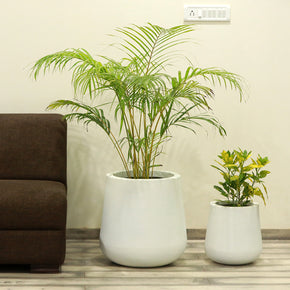 Craftter Large Designer White Fiberglass Planters (Gamla) Decorative Pots Light Weight - 18 inch Diameter, Indoor-Outdoor