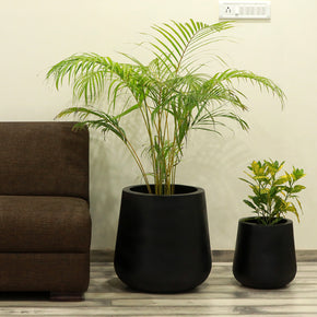 Craftter Medium Designer Black Fiberglass Planters (Gamla) Decorative Pots Light Weight - 12 inch Diameter, Indoor-Outdoor