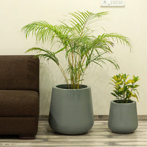 Craftter Medium Designer Grey Fiberglass Planters (Gamla) Decorative Pots Light Weight - 12 inch Diameter, Indoor-Outdoor